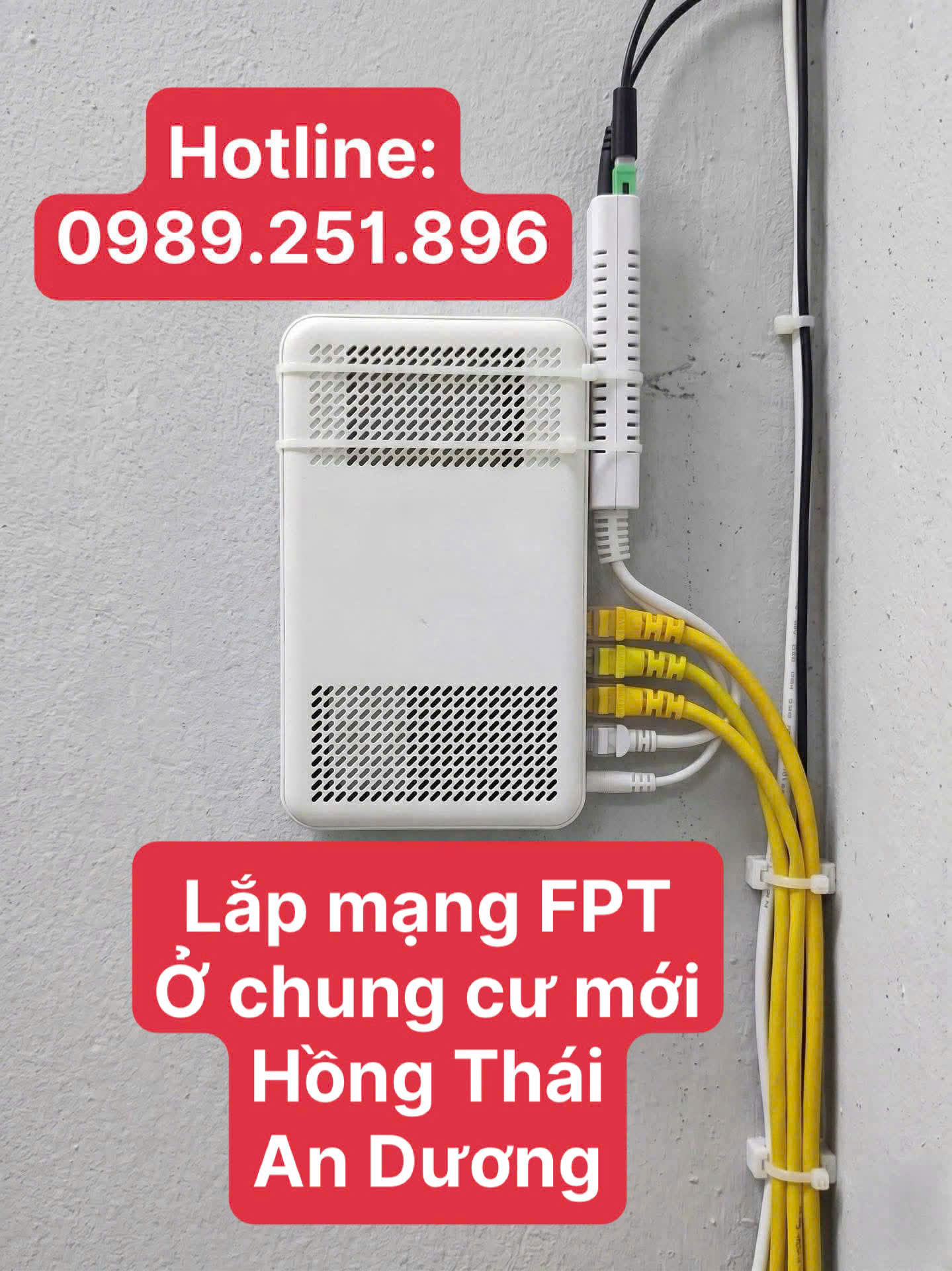 Lắp mạng WiFi ở Chung cư Mới Hồng Thái An Dương